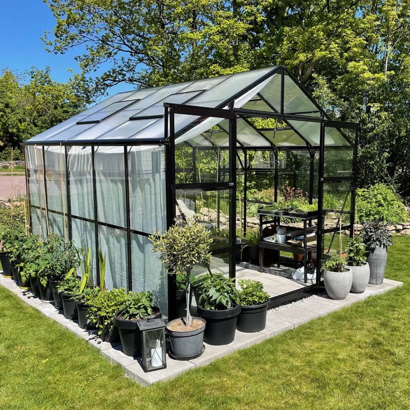 Växthus 8,0m² | 4mm säkerhetsglas | 5 års stormgaranti