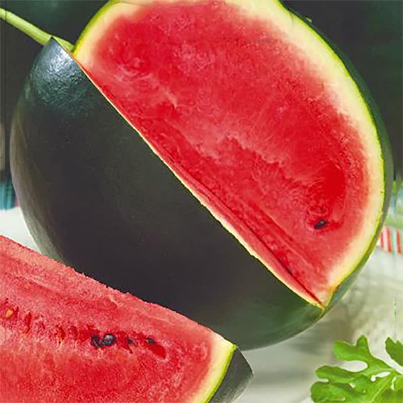 Vattenmelon 'Pata Negra' F1, rund, 7-8 kg, ljusrött fruktkött, smakrikt och sött.