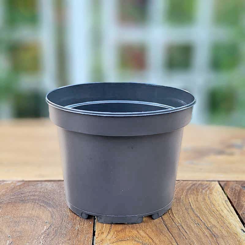 Plastkruka 1,5 liter, återvunnen plast, 15 cm toppdiameter, 11,7 cm höjd, 5-pack, hållbar, dränerande.