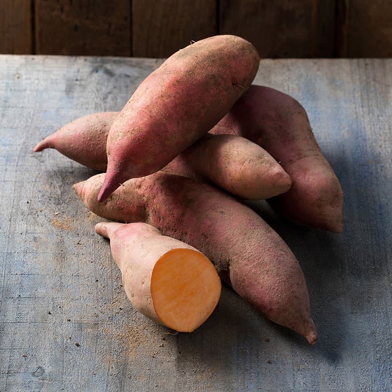 Sötpotatis Vineland Early Orange 3-pack, tidig orange/röd sort hög skörd