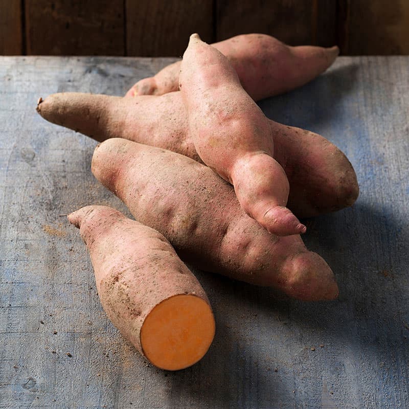 Sötpotatis Vineland Salmon Orange 3-pack, orange insida röd utsida rik skörd