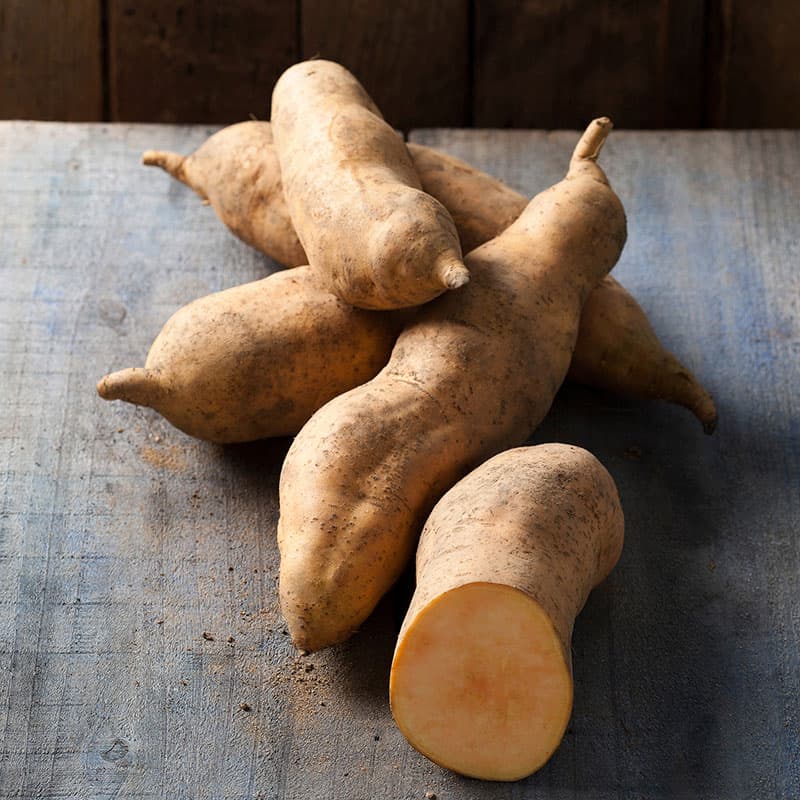 Sötpotatis Vineland Sunrise 3-pack, ljus insida vitt skal lättodlad varm jord