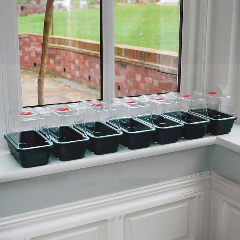 Minidrivhus, svart, 17x10x12,5 cm, stabil kvalitet, justerbar ventilation, 7-pack.