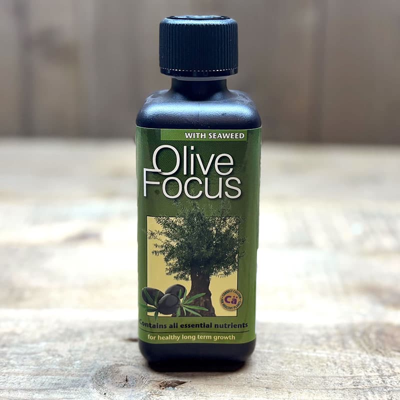 Olivnäring Olive Focus, 300 ml, NPK 2,1:0,8:3,2, berikad med organiska växtsyror, räcker till 30 liter.