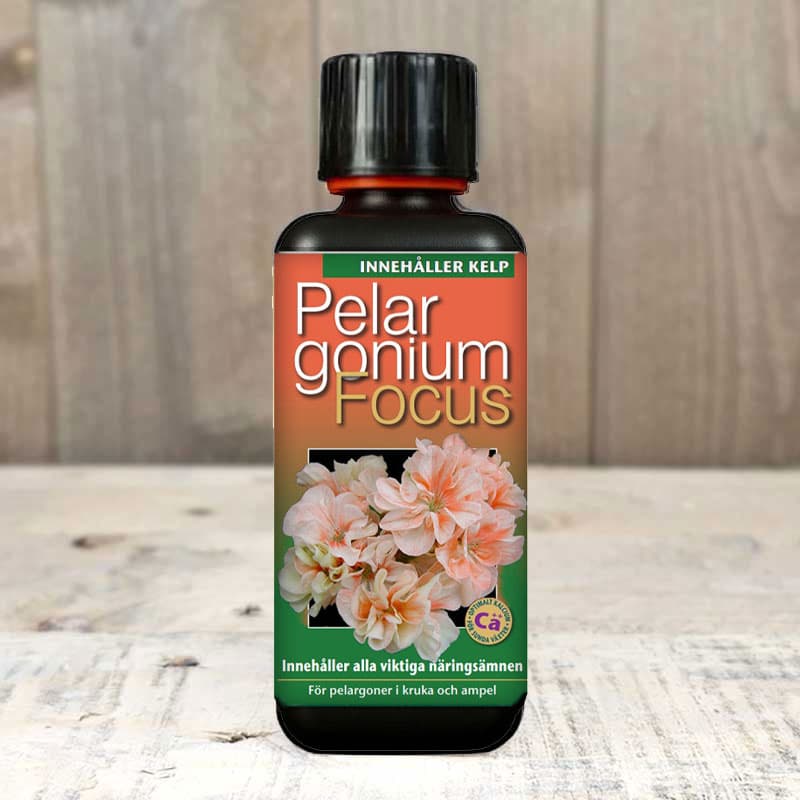 Pelargonium Focus, 300 ml, NPK 2.0-0.8-3.2, specialutvecklad för pelargoner, innehåller organiska växtsyror.