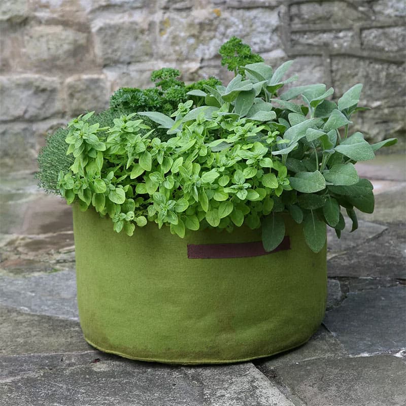 Odlingssäck Vigoroot Herb Planter, 40 liter, 25 cm hög, 45 cm i diameter, maskintvättbar, återanvändbar.