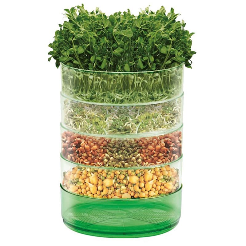 Groddbox, Kitchen Seed Sprouter, fyra genomskinliga brickor med dräneringshål