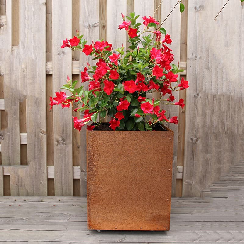 Kruka corten utan botten 45x45x55 cm, gyllenbrun, 2 mm cortenstål, hållbar, 17,75 kg, lätt att montera.