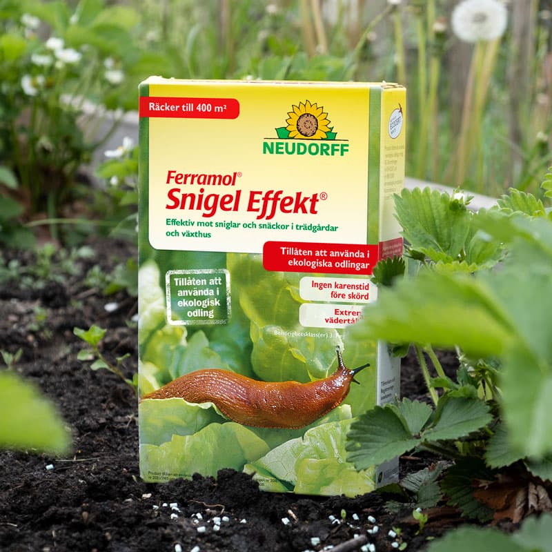Snigel Effekt 1 kg, bekämpningsmedel mot sniglar, 1 kg, ekologisk odling, skadar inte växtlighet eller nyttodjur.