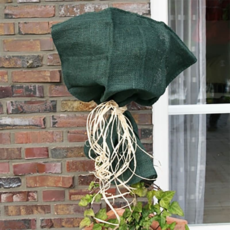 Jutesäck grön 110×60cm, 230g skydd för buskar och träd mot kyla och vårsol