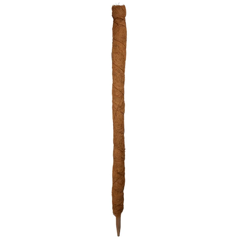 Kokosstav, 120 cm, naturmaterial, klädd med kokosfiber, för klättrande inomhusväxter.