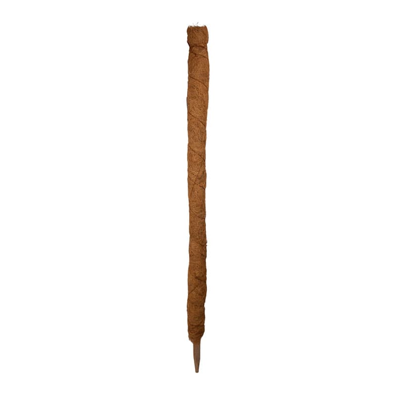 Kokosstav, 90 cm, naturmaterial, klädd med kokosfiber, växtstöd, för klättrande inomhusväxter.
