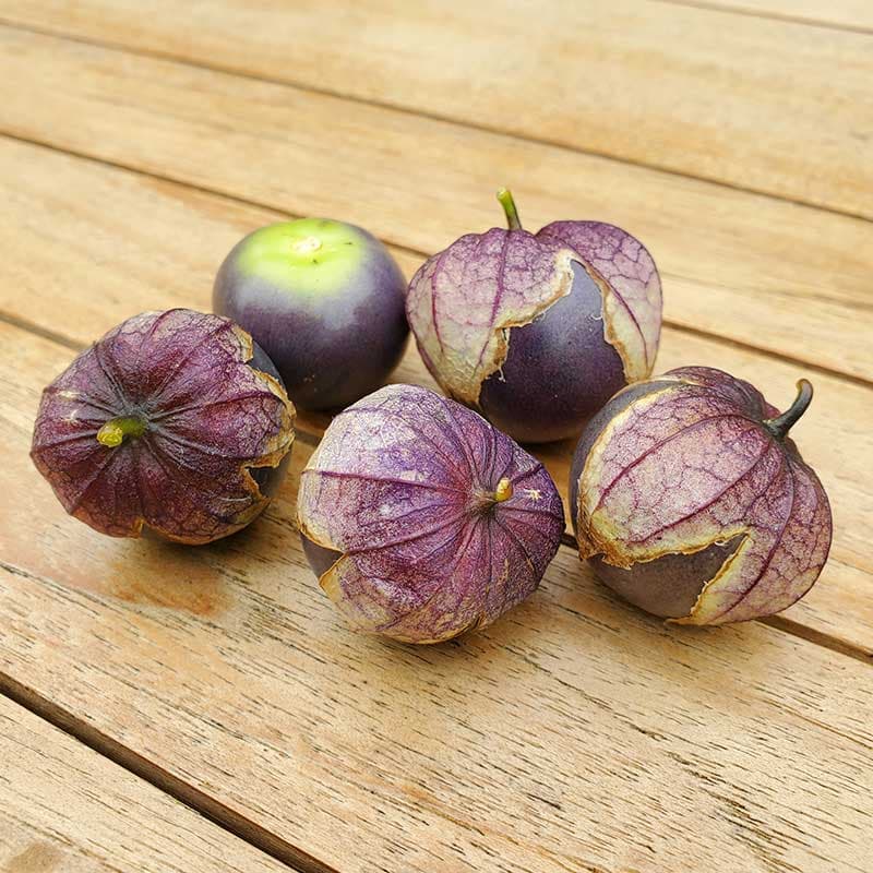 Tomatillo 'Purple de Milpa', mörk purpurfärgade frukter, 15 frön, groningstid 2-4 veckor.