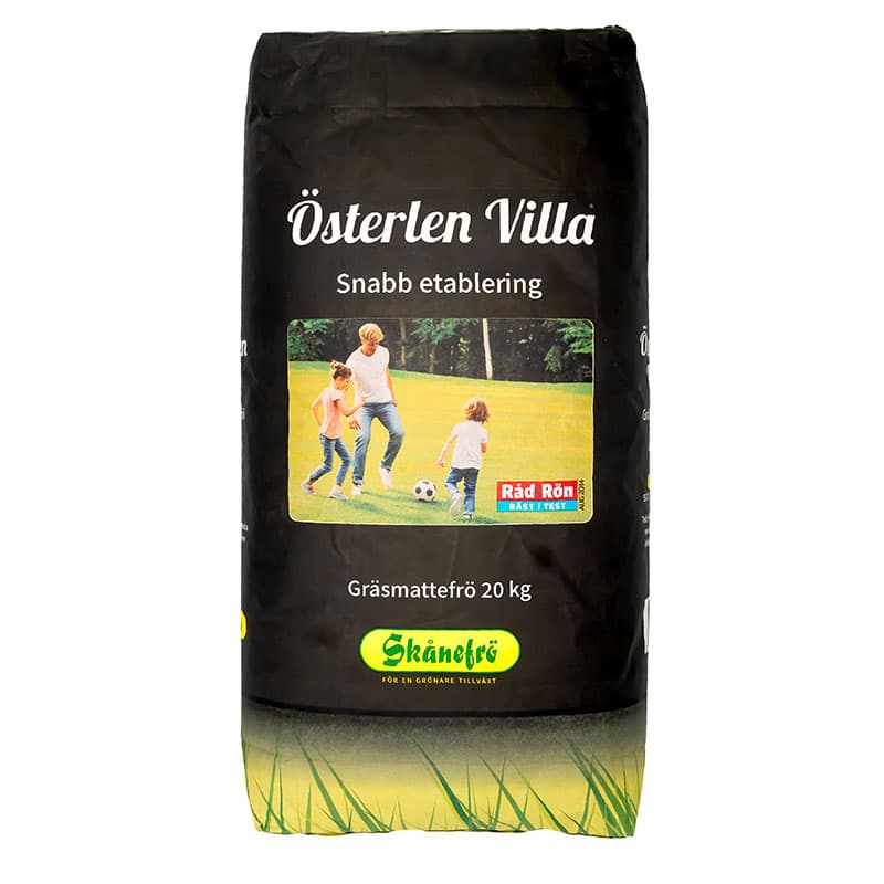 Gräsmattefrö - Gräsfrö