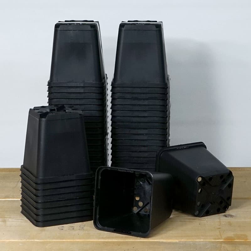 Perennkruka 9x9 cm, fyrkantig, 100% återvunnen plast, hållbar, 50 st, för förodling och omskolning.