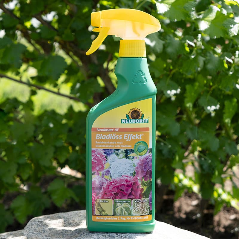 Bladlöss Effekt 500 ml, bruksfärdig spray, bekämpar bladlöss, biologiskt nedbrytbar, för inomhus och utomhus.