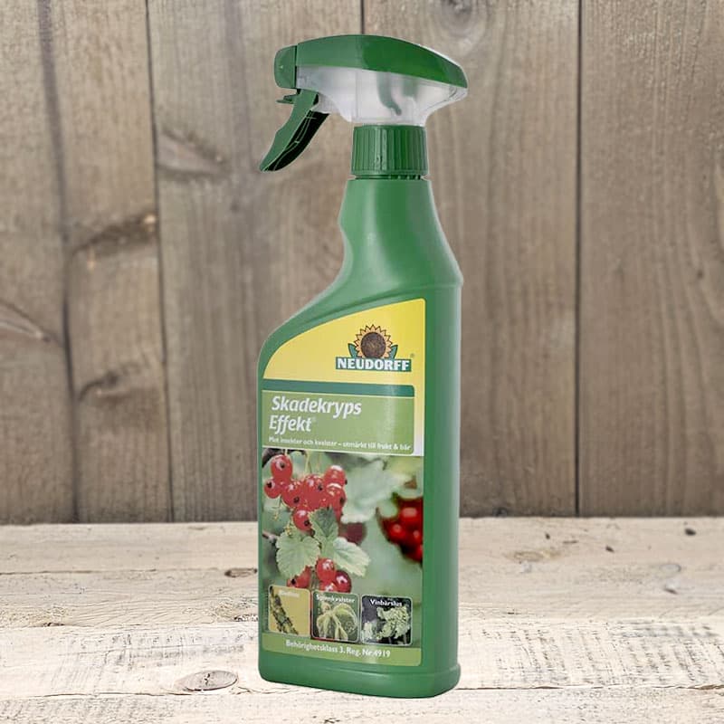 Skadekryps Effekt 500 ml, bruksfärdig spray, bekämpar bladlöss, vita flygare, spinnkvalster, inne och ute.