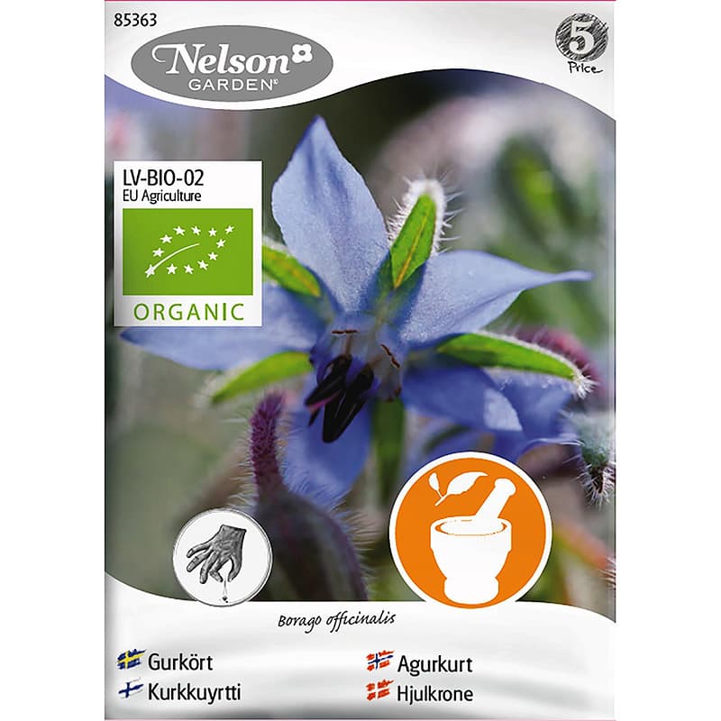 Gurkört, ekologisk, blåblommande, höjd 50 cm, växtläge sol/halvskugga, 30 frön.