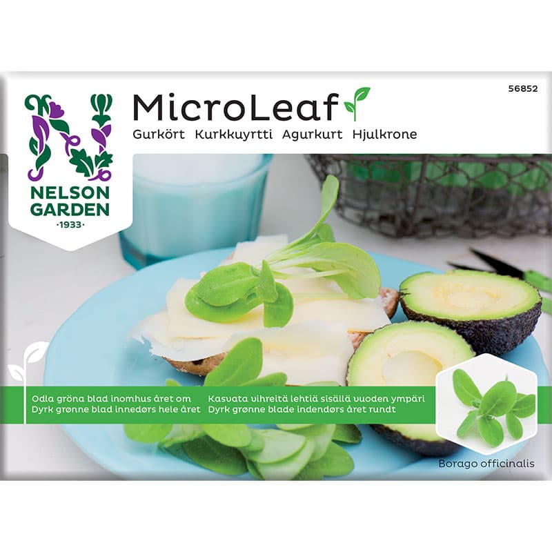 Micro leaf, Gurkört, smak av gurka, 3 gram, odlas inomhus, lättodlad, maximerar näringsinnehållet.