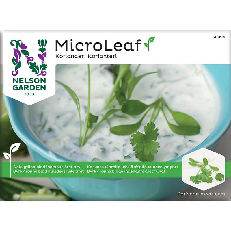 Micro Leaf, Koriander, gröna blad, snabbväxande, lättodlad, inomhus, 3 gram frön.