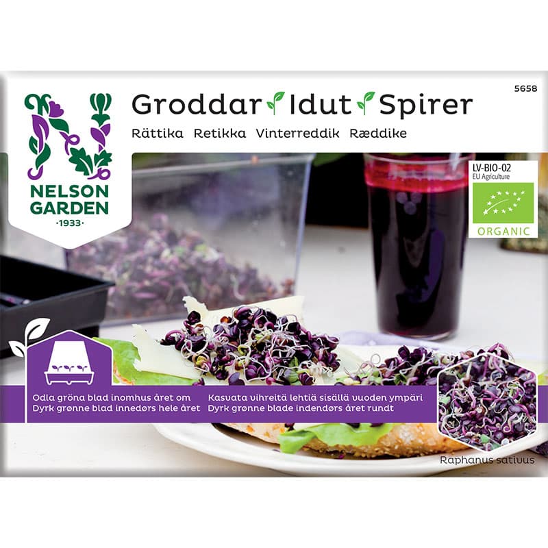 Groddar, rättika, rosa ton, snabbväxande, 20 gram, räcker till 1 omgång, färdiga på 4–6 dagar.