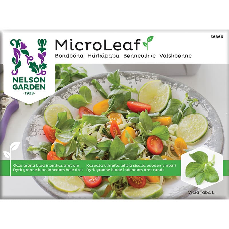 Micro leaf, Bondböna (Vicia Faba), grön, krispig smak, lättodlad, 20 gram frön.