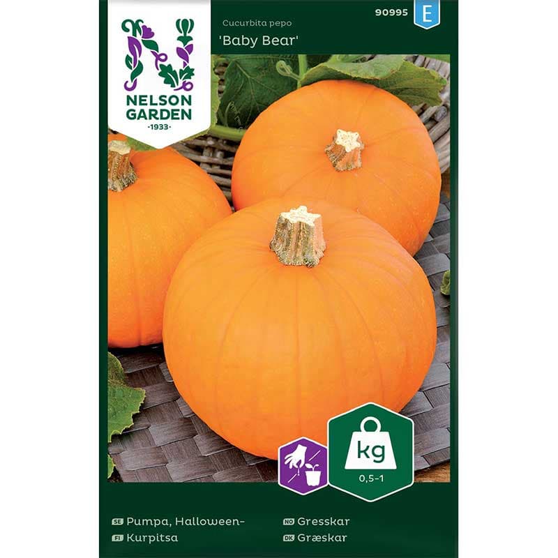 Minipumpa 'Baby Bear', intensivt orange, 1 kg, trådfritt kött, 6-8 frukter, 10 cm stora.
