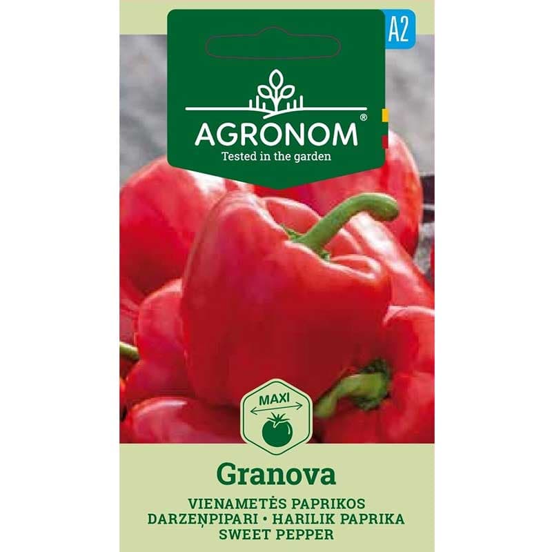 Paprika 'Granova', blockformade frukter, 6-8 mm tjocka väggar, gulgröna till röda.