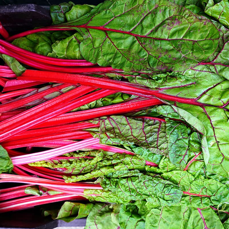 Mangold 'Rhubarb Chard', röda bladskaft, saftiga blad, lättodlad, 3 gram frön, skörd efter 60 dagar.