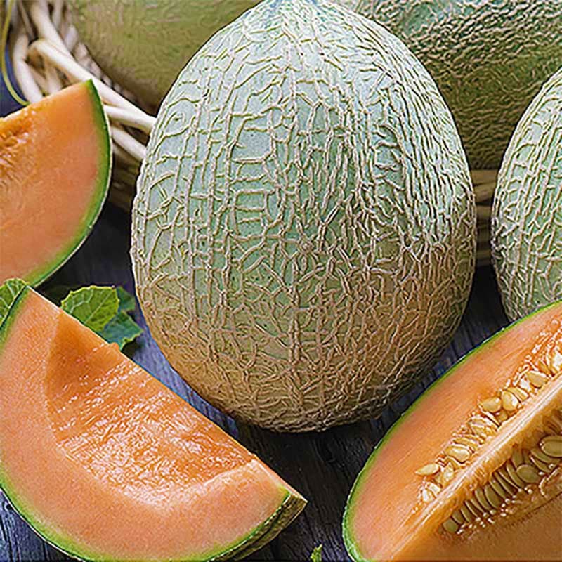 Melon 'Emir' har grönaktigt skal som blir ljusgult och producerar ovala frukter över 1 kg.