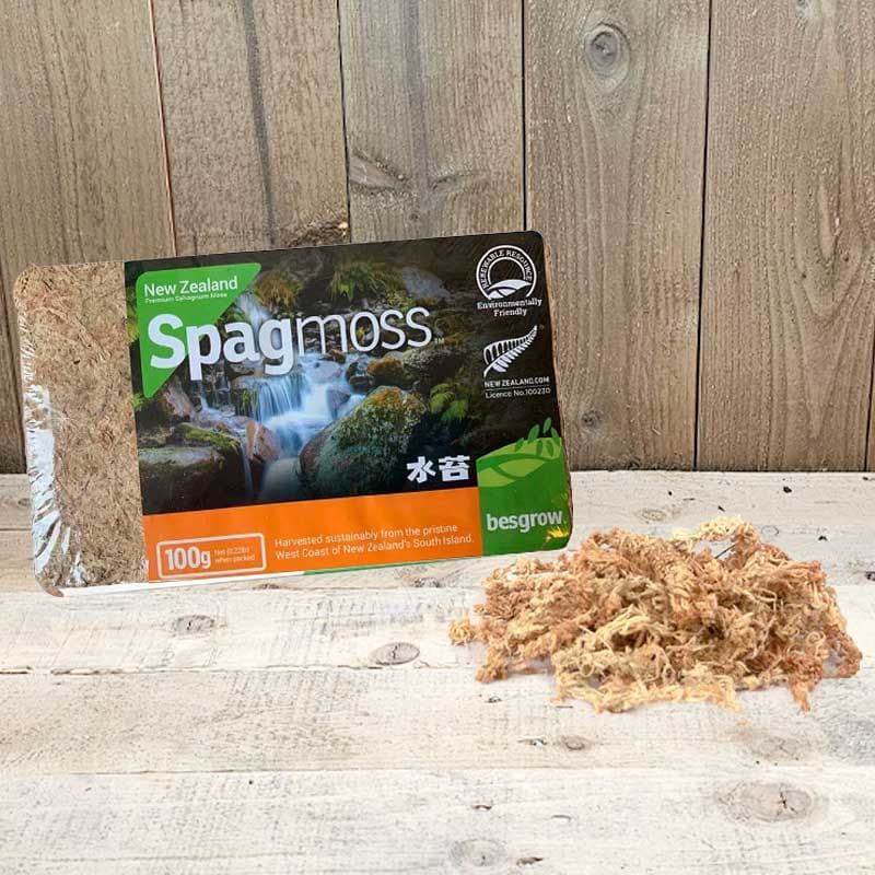 Sphagnummossa, vitmossa, 100 gram, naturligt antiseptisk, lågt pH, hög vattenupptagning, som substrat, dekoration.