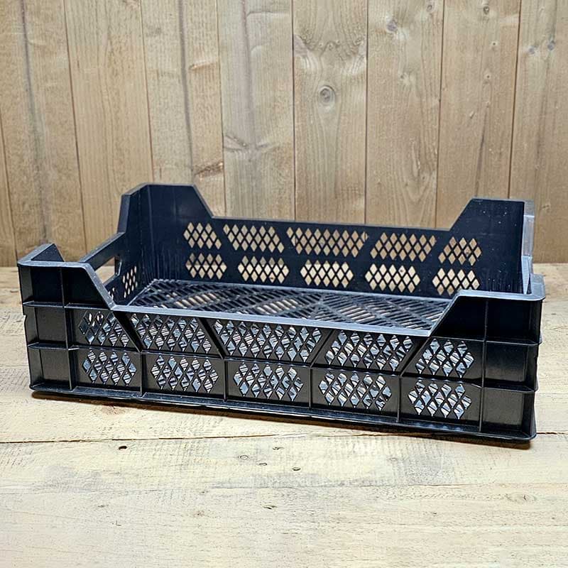 Odlingsback, svart, 60 x 40 x 17 cm, PP plast, stabil, förvaring av plantor och förodlingar.