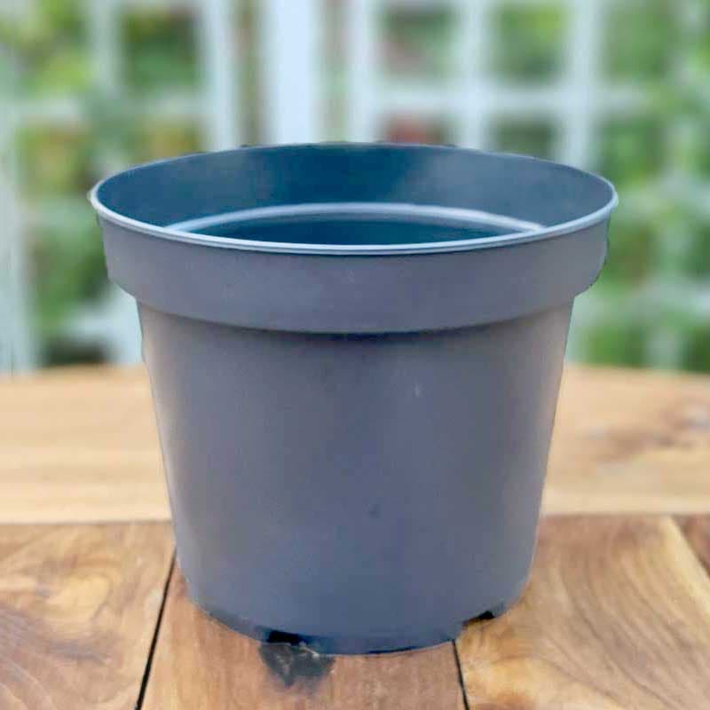 Plastkruka 5 liter, återvunnen plast, 22,5 cm toppdiameter, 17 cm 18 cm höjd, 3-pack, dränering, hållbar.