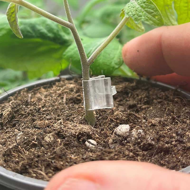 Ympclips 1,2 mm, 5 st små ympclips för ympning av köksväxter som tomat, gurka, mfl.