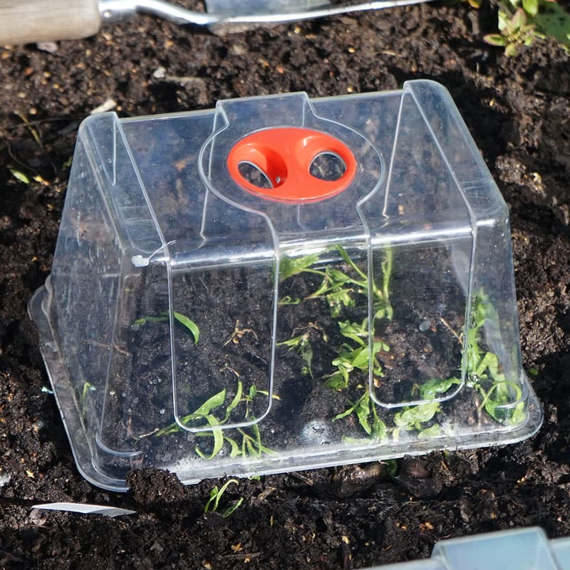 Kupa till minidrivhus, 22,5x16,5x12 cm, kristallklar plast, vridbar ventilation, förlänger odlingssäsongen.